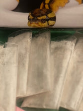 Load image into Gallery viewer, Rattlesnake Protection Powder