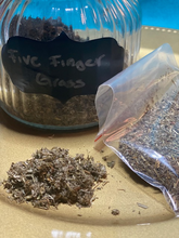 Load image into Gallery viewer, FIVE FINGER GRASS HERB