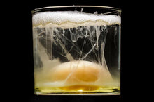 Load image into Gallery viewer, Egg Cleansing Interpretation