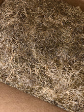 Load image into Gallery viewer, Spanish Moss