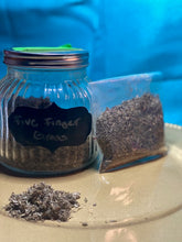 Load image into Gallery viewer, FIVE FINGER GRASS HERB