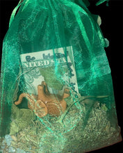 Load image into Gallery viewer, MONEY CURED SACHET MOJO