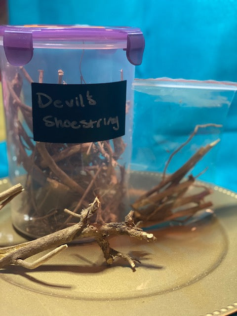 DEVIL'S SHOESTRING ROOT – Pinky Pinkstar Doll Tarot