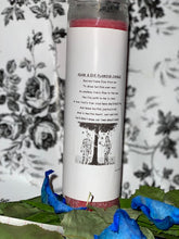 Load image into Gallery viewer, Adam &amp; Eve Candle