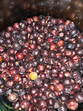Load image into Gallery viewer, Juniper Berries Whole