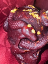 Load image into Gallery viewer, Skull Chili Candle